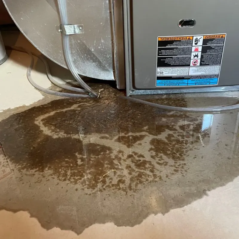 Pipe Burst and Leak Restoration in Banner Hill, TN