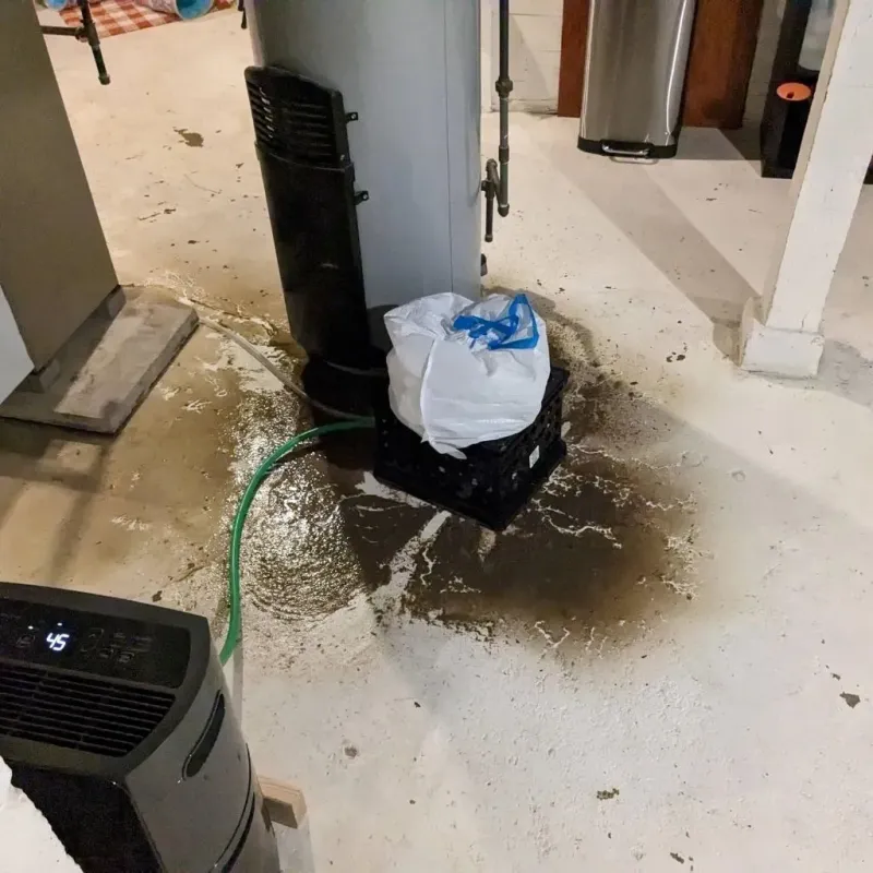 Sewage Backup Cleanup Service in Banner Hill, TN